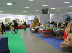 mexpo 2010 malpensafiere