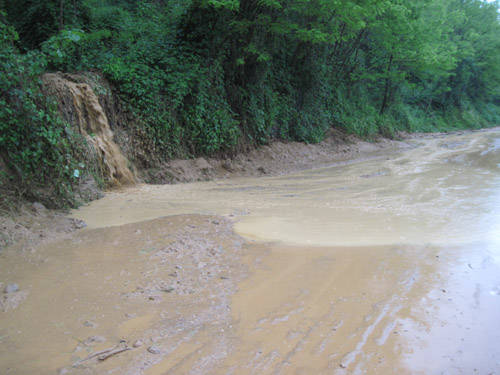 olona pioggia 12 maggio 2010