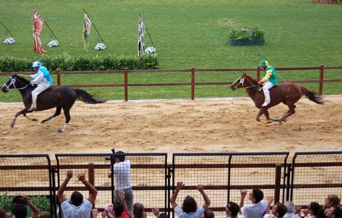 palio di legnano 2010 
