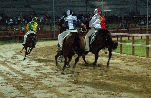 palio di legnano 2010 provaccia