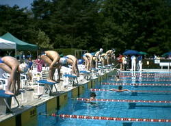 piscina moriggia amsc gallarate