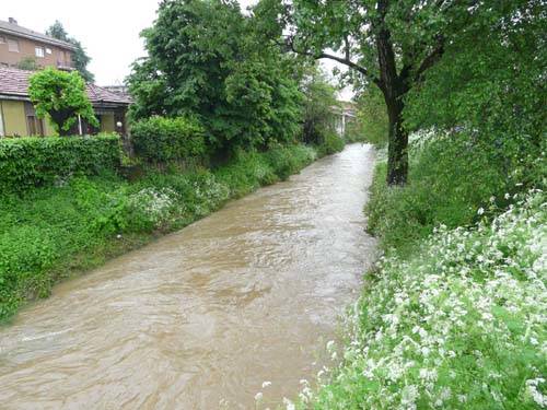 sorgiorile gallarate