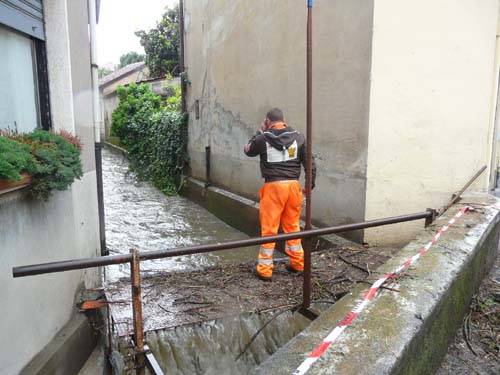 sorgiorile gallarate