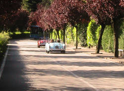 varese campo dei fiori orino