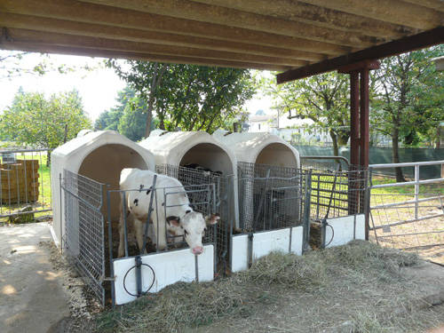 azienda agricola budelli gallarate