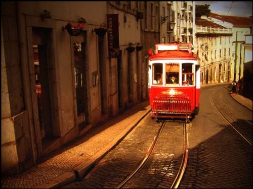 concorso in viaggio vincitori 2010