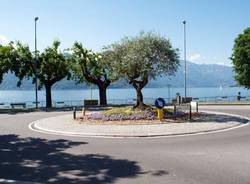 concorso rotonda, luino strada statale 394