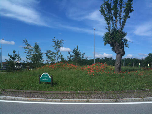 concorso rotonde tre tradate lonate ceppino 