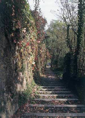 luoghi del cuore 2010 scalinata solbiate olona valle