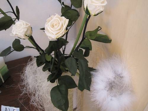 negozio signore besozzo