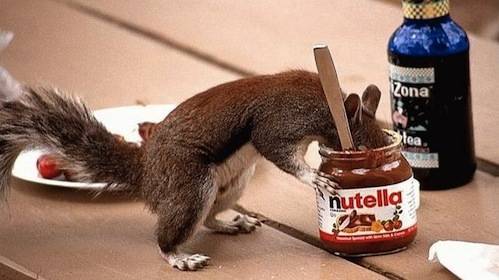 nutella 
