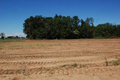 pedemontana lozza turate avanzamento lavori maggio 2010