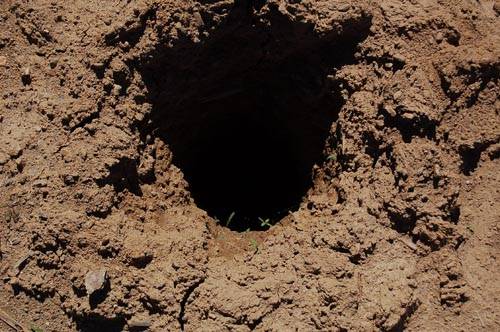 pedemontana lozza turate avanzamento lavori maggio 2010