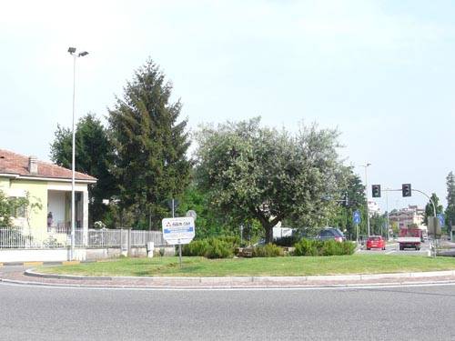rotonda viale schuster gallarate concorse rotonde 