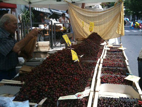 sagra ciliege tradate 2010 abbiate guazzone