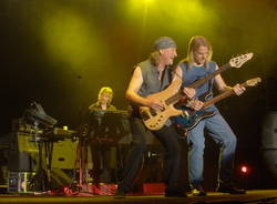 deep purple