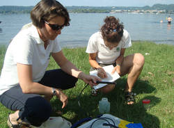 goletta laghi 