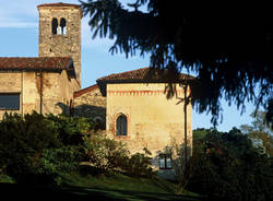 luvinate cartoline