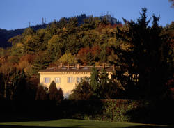 luvinate cartoline