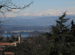luvinate cartoline