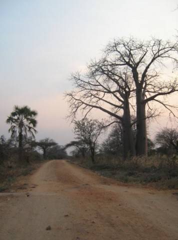Malawi