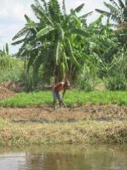 Malawi