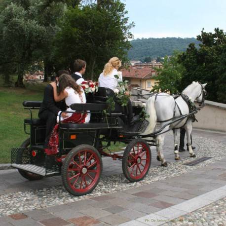 Martha e Tiziano
