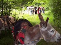 trekking asino la valigia della mente