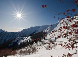 alpe cortevecchio