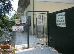 cani canile municipale busto arsizio