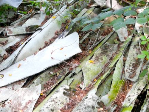 eternit nel bosco carrono varesino