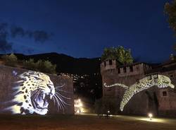 Festival Locarno Pardo 2010