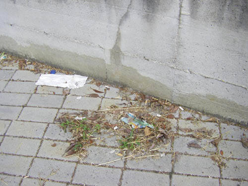 piazza falcone e borsellino cardano al campo