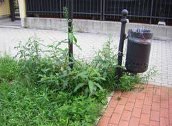 piazza falcone e borsellino cardano al campo