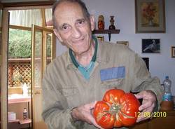 pomodoro nonno Lino Azzate