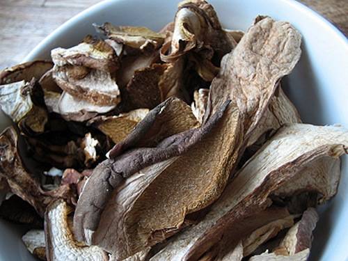 porcini 