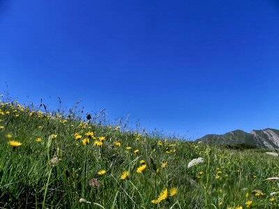 Prato e cielo..