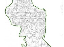 abilitazione venatoria