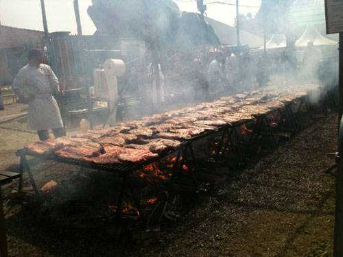 accademia della costina coarezza