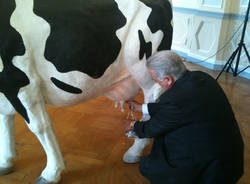 agrivarese giardini estensi