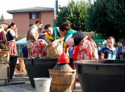 Palio di masnago 2010