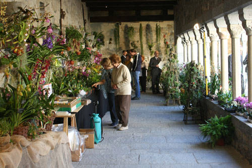 voltorre mostra orchidee settembre 2010