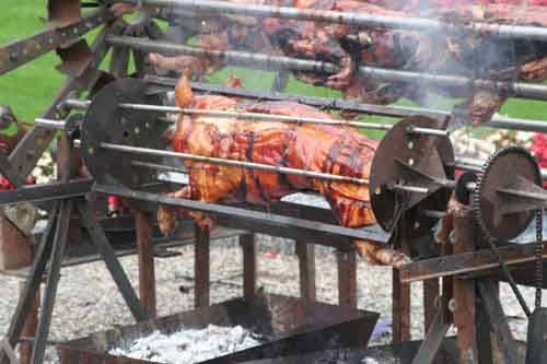 agrivarese 2010 autore tonino poloni