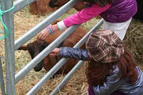 agrivarese 2010 autore tonino poloni