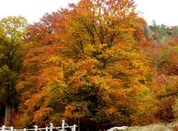 autunno lettori 2010