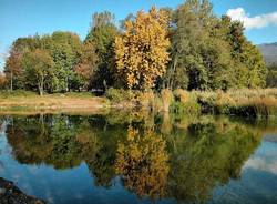 autunno lettori 2010