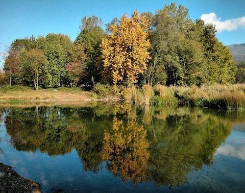autunno lettori 2010