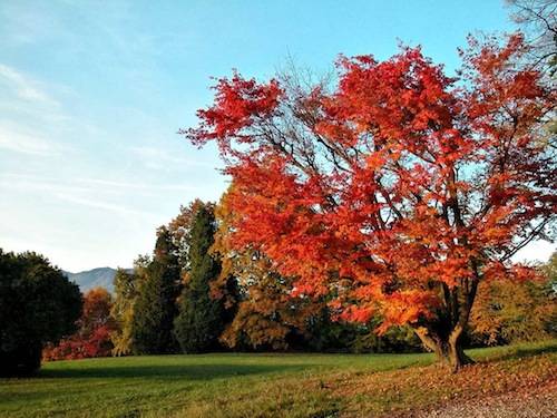 autunno lettori 2010