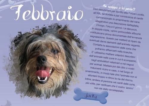 calendario enpa 2011