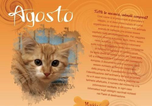 calendario enpa 2011